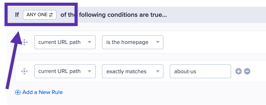 Configure inclusionary rules in OptinMonster to target specific pages with campaigns. - OptinMonster Configure inclusionary rules in OptinMonster to target specific pages with campaigns.