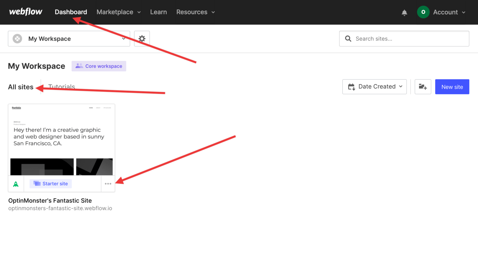Webflow Dashboard Settings - OptinMonster Webflow Dashboard Settings